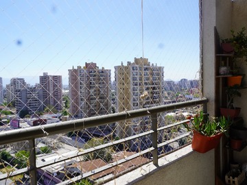 Imagen 6