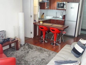 Venta / Departamento / Santiago