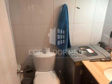 Imagen 15