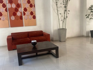 Venta / Departamento / Santiago