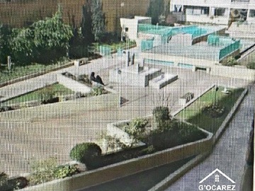 Imagen 13
