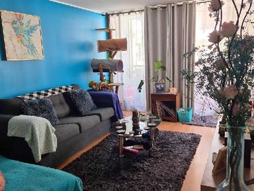 Venta / Departamento / Santiago