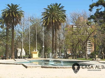 Imagen 16
