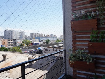 Imagen 6