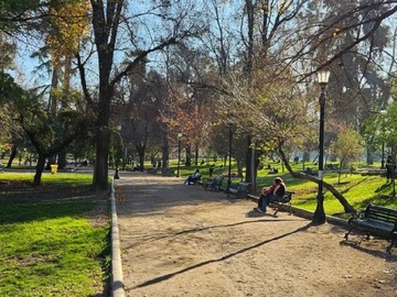 Imagen 20