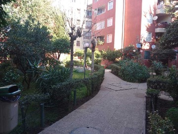 Imagen 12