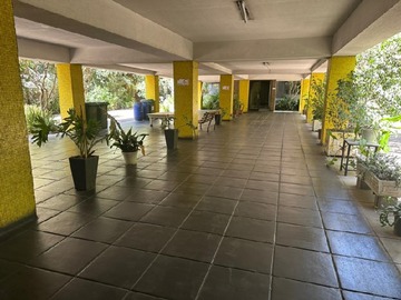 Imagen 11