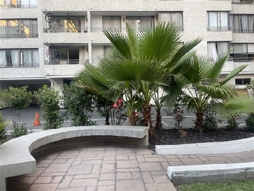 Imagen 22