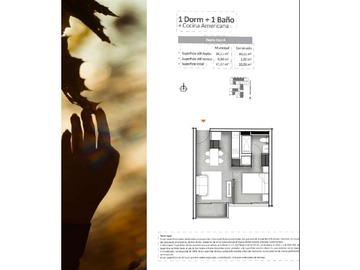 Imagen 7