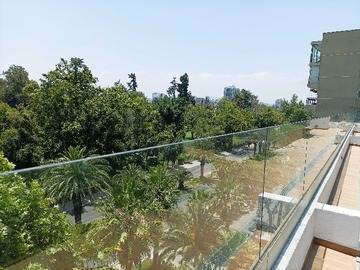 Imagen 19