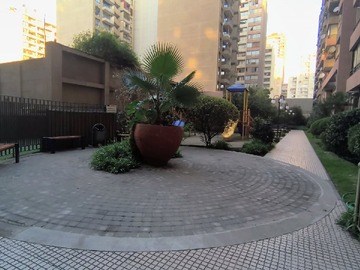 Imagen 22