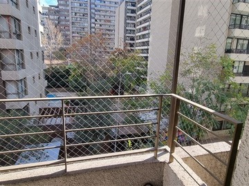 Imagen 2