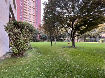 Imagen 21