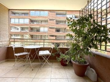Imagen 16