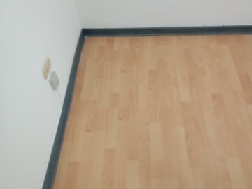 Imagen 11