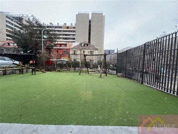 Imagen 20