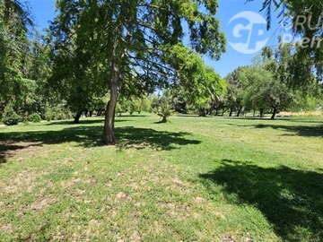 Imagen 22