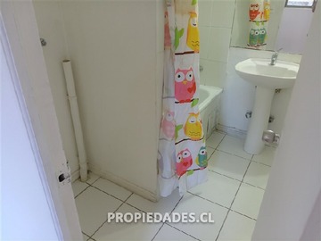 Imagen 12