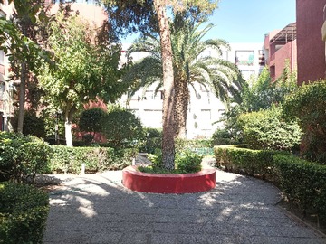 Imagen 23