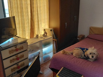 Imagen 3