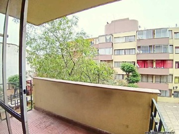 Imagen 5