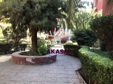 Imagen 13