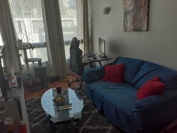 Venta / Departamento / Santiago