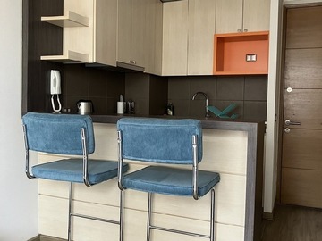 Venta / Departamento / Santiago