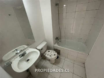 Imagen 11