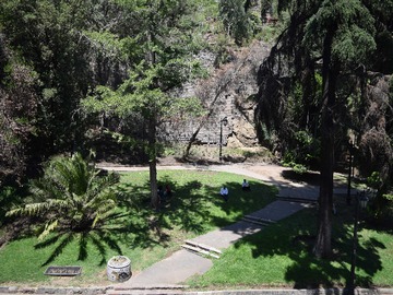 Imagen 19