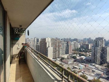 Imagen 11