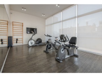 Gimnasio