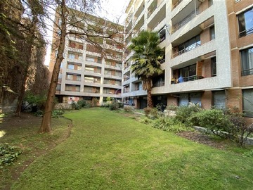 Imagen 12
