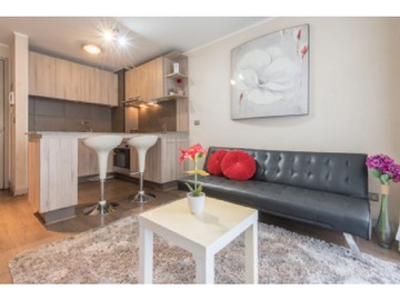 Venta / Departamento / Santiago