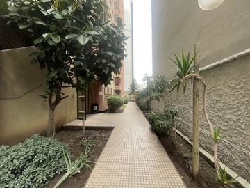 Imagen 6