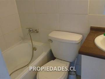 Imagen 11