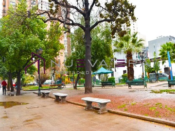 Imagen 11
