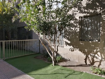 Imagen 13