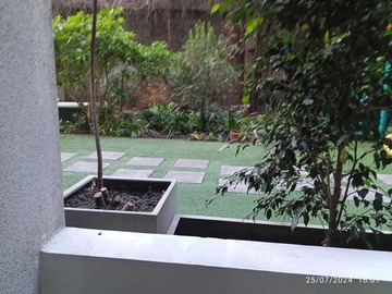 Imagen 8