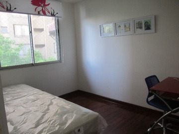 Imagen 11