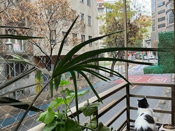 Venta / Departamento / Santiago