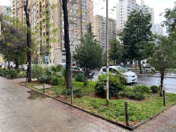 Venta / Departamento / Santiago