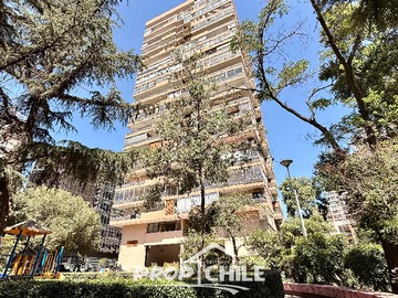 Imagen 15