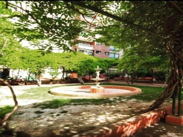 Imagen 8