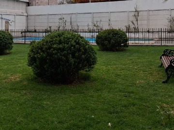 Imagen 16