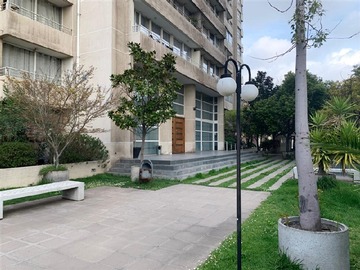 Imagen 13