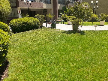 Imagen 19