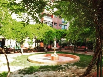 Imagen 9