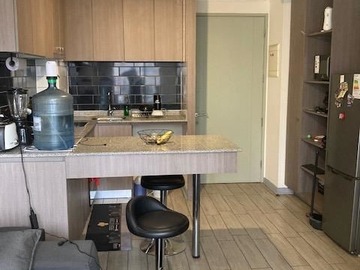 Venta / Departamento / Santiago