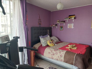 Imagen 5